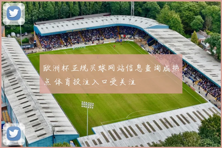 欧洲杯正规买球网站信息查询成热点 体育投注入口受关注